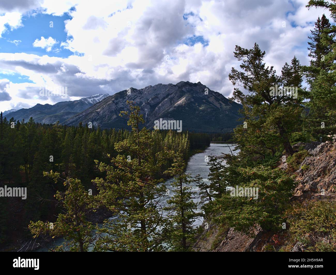 Belle vue sur la rivière Bow entourée de forêts de conifères verts près de Banff, Alberta, Canada, dans les montagnes Rocheuses avec le sommet du mont Norquay. Banque D'Images
