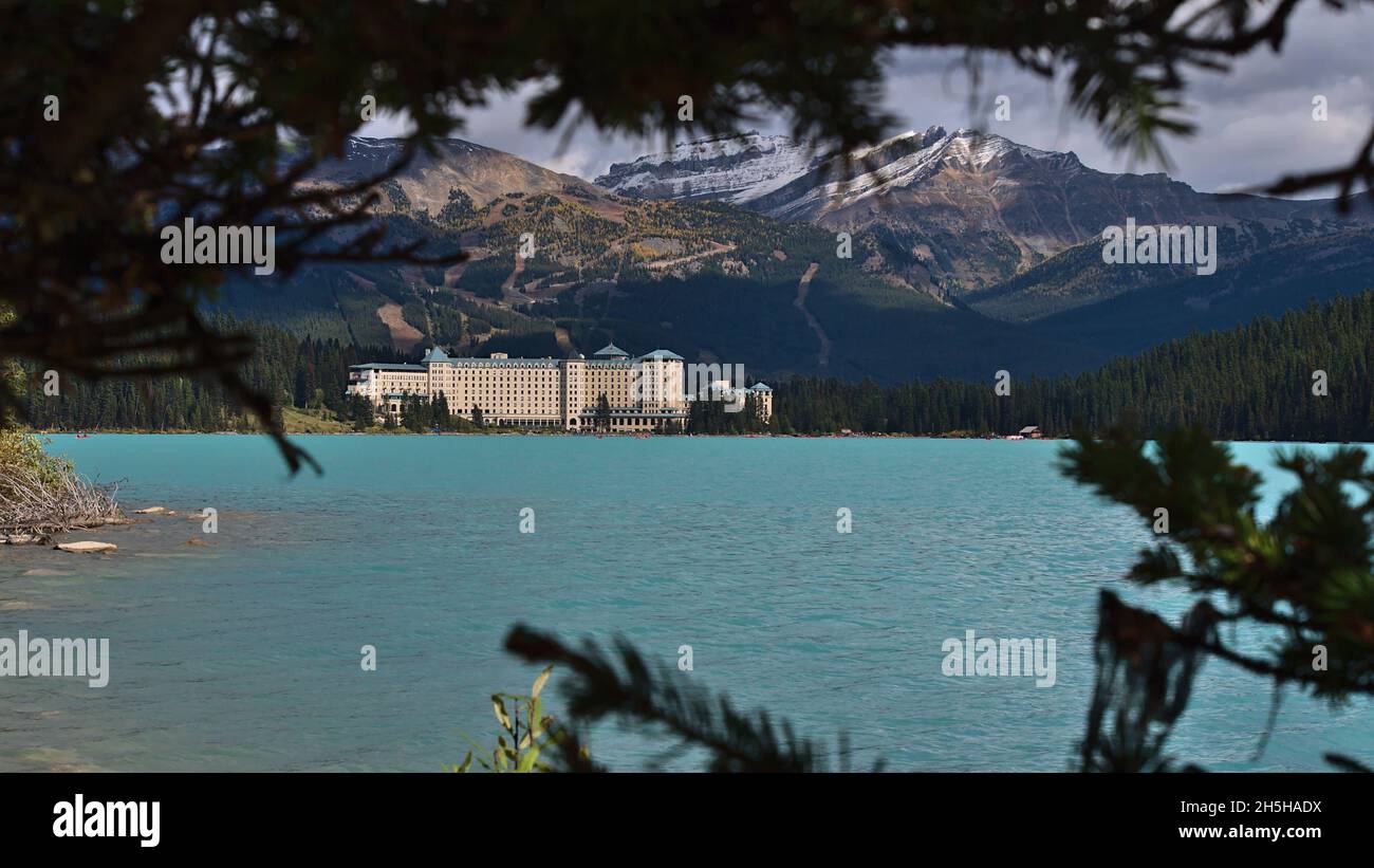 Vue sur le lac Louise à travers les branches de conifères aux eaux turquoise et célèbre hôtel en automne dans le parc national Banff, Canada. Banque D'Images
