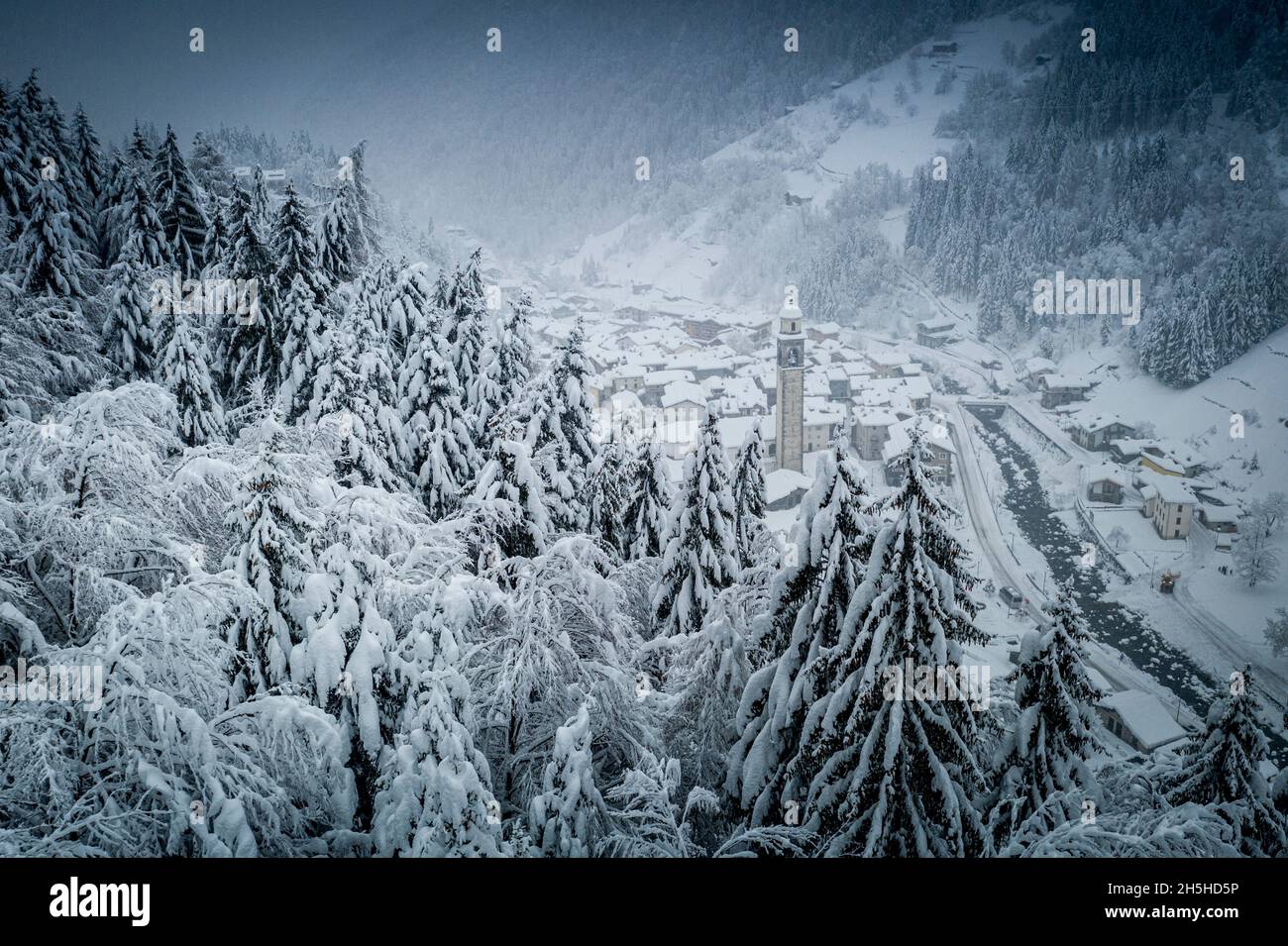 Arbres couverts de neige dans la forêt d'hiver entourant le village alpin de Noël, Valgerola, Valtellina, Lombardie, Italie Banque D'Images