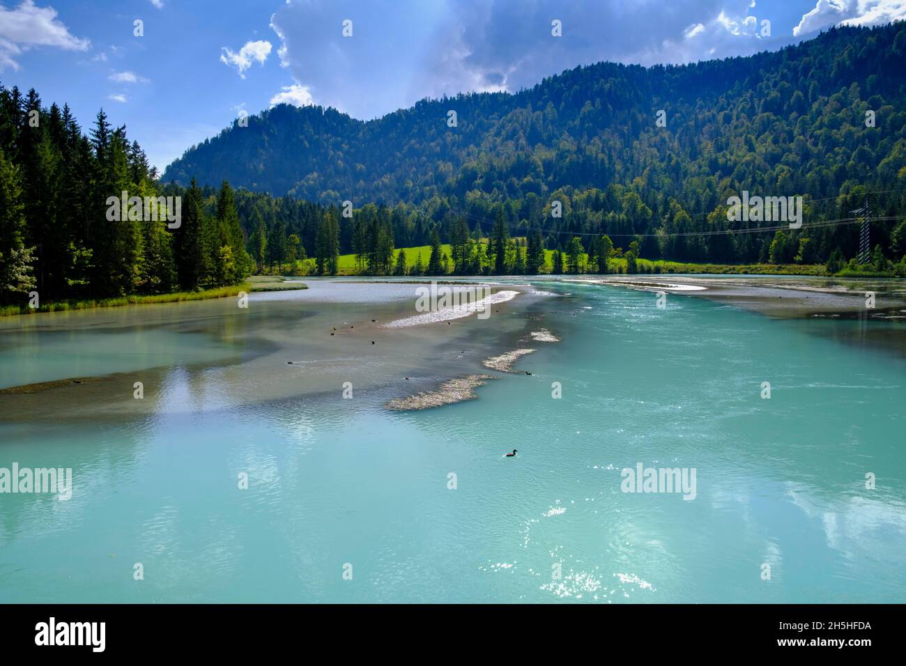 Sachensee près de Wallgau, Obernachkanal, haute-Bavière, Bavière, Allemagne Banque D'Images