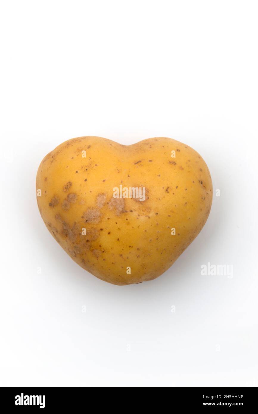 Pomme de terre en forme de coeur, Bade-Wurtemberg, Allemagne Banque D'Images