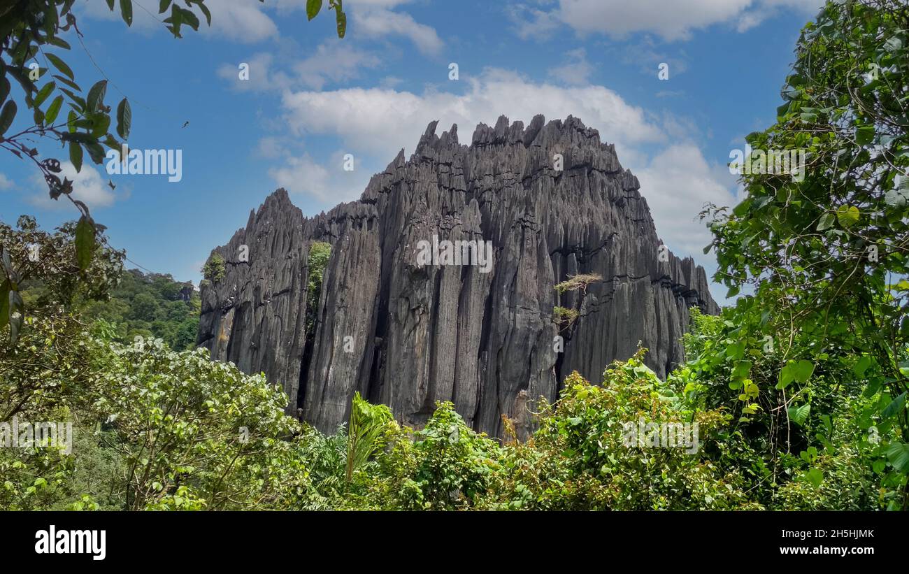 Yana Rocks près de Yana Village connu pour les formations rocheuses karstiques inhabituelles, Karnataka, Inde Banque D'Images