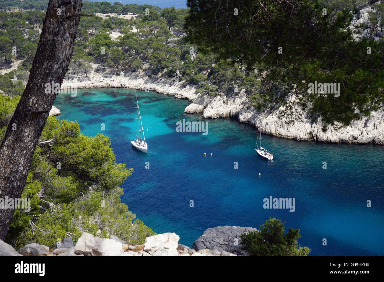 Calanque de Port PIN, Calanque de Port Miou, Cassis, Calanque, Parc National des Calanques, massif des Calanques,Département des Bouches-du-Rhône, France Banque D'Images Calanque de Port PIN, Calanque de Port Miou, Cassis, Calanque, Parc National des Calanques, massif des Calanques,Département des Bouches-du-Rhône, France Banque D'Images