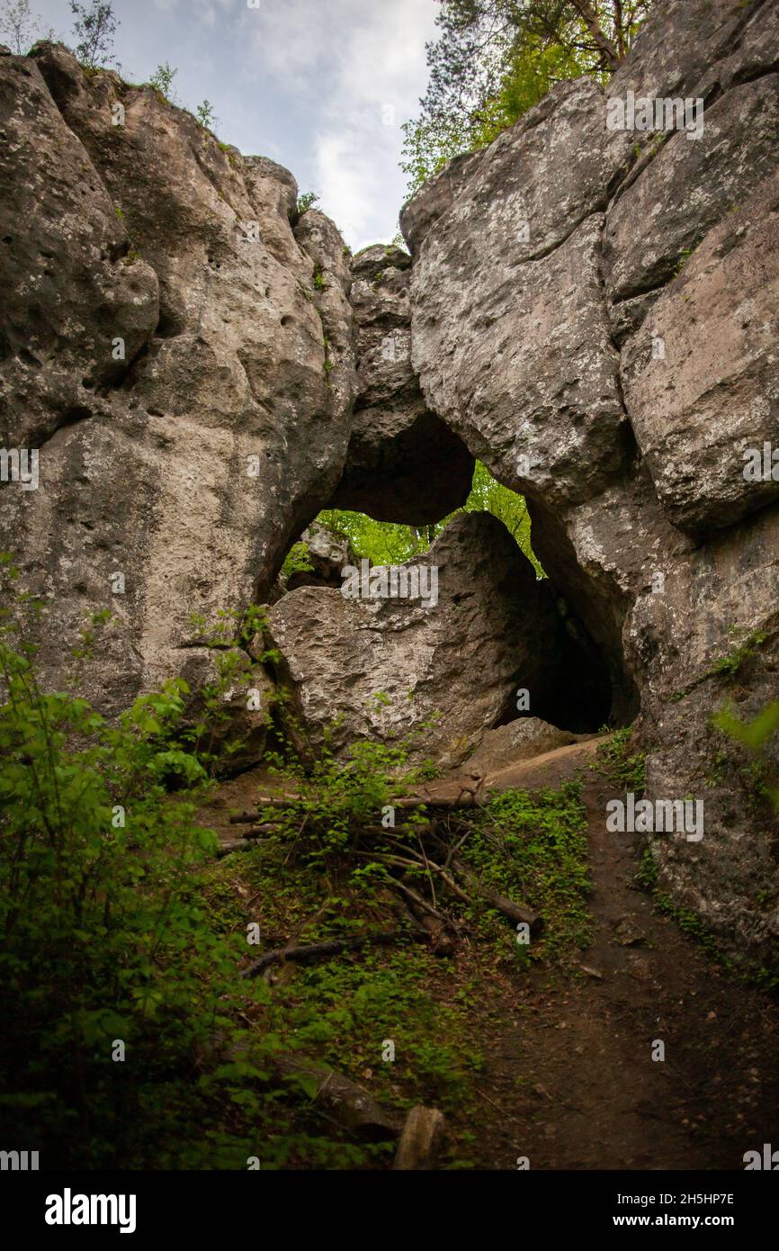 Rochers dans la forêt, arche rocheuse avec rochers tombés sous la formation rocheuse avec passage effondrement sur la pente ovogrown avec plantes, arbres et ciel en arrière-plan Banque D'Images