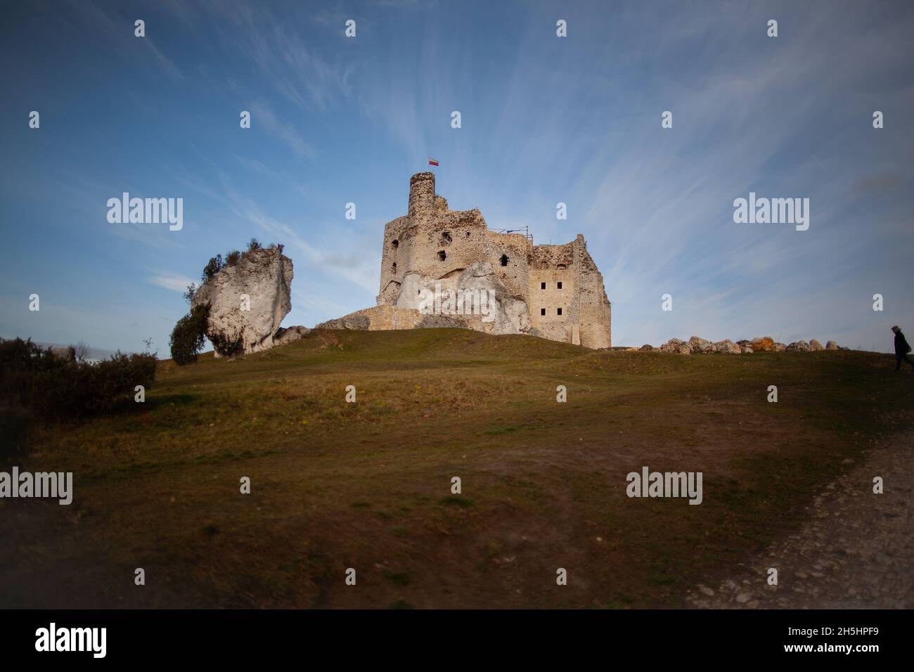 Ruines du château à Ogrodzieniec, magnifique paysage avec ruines du château sur la colline avec ciel clair arrière-plan Trail des nids des aigles, Pologne Banque D'Images