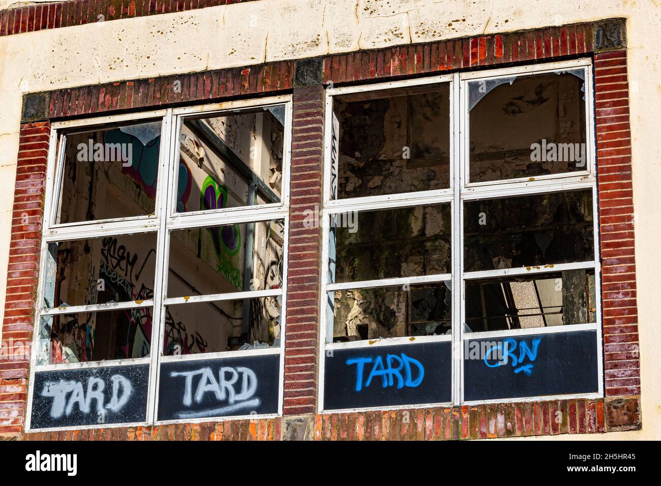 Détail extérieur des fenêtres écrasées à la dangereuse usine de lait torridge Vale avec Graffiti, Great Torrington, Dev Banque D'Images