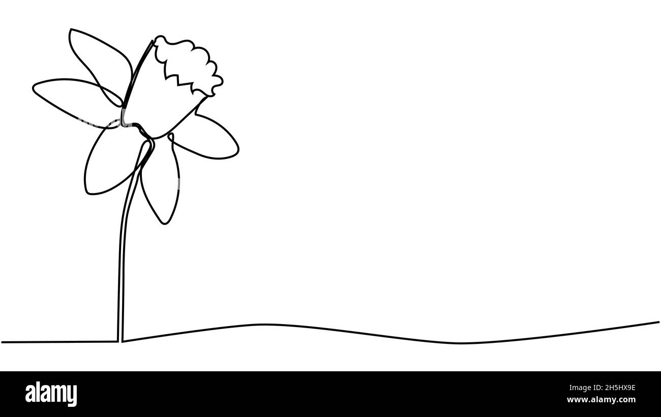 Un dessin d'une seule ligne de narcisses fraîches de beauté pour le jardin.Concept imprimable de fleurs de jonquille décoratives.Design tendance à dessin au trait continu Illustration de Vecteur