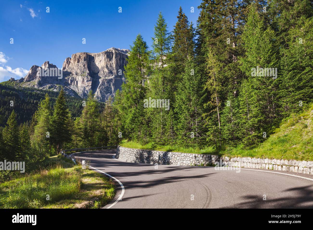 Route pittoresque à travers la forêt de sapins dans les Dolomites, Tyrol du Sud (Sudtirol, Alto Adige), Italie, avec haut mur de roche du groupe Sella vu en arrière-plan Banque D'Images