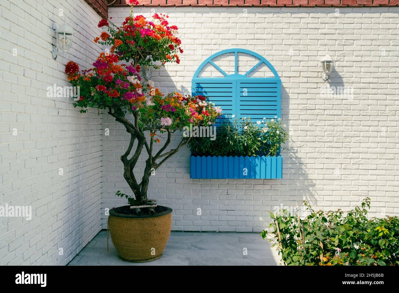 Coin jardin à Rixos Hotel dubai avec bougainvilliers coloré et fenêtre bleue Banque D'Images
