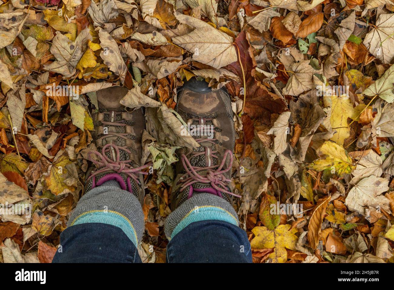 Bottes de marche dans un tas de feuilles d'automne. Banque D'Images