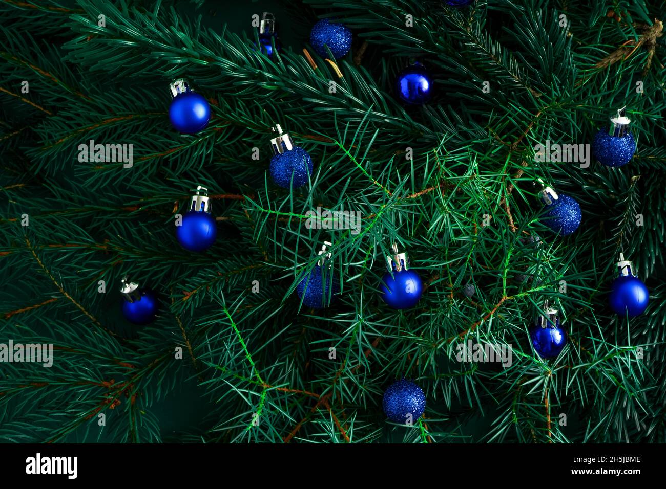 Fond vert de Noël.Branches de pin, aiguilles et arbres de Noël avec boules bleues.Vue de dessus.Cadre rond avec place pour le texte.Arrière-plan nature de Noël.Concept d'humeur de décembre. Banque D'Images