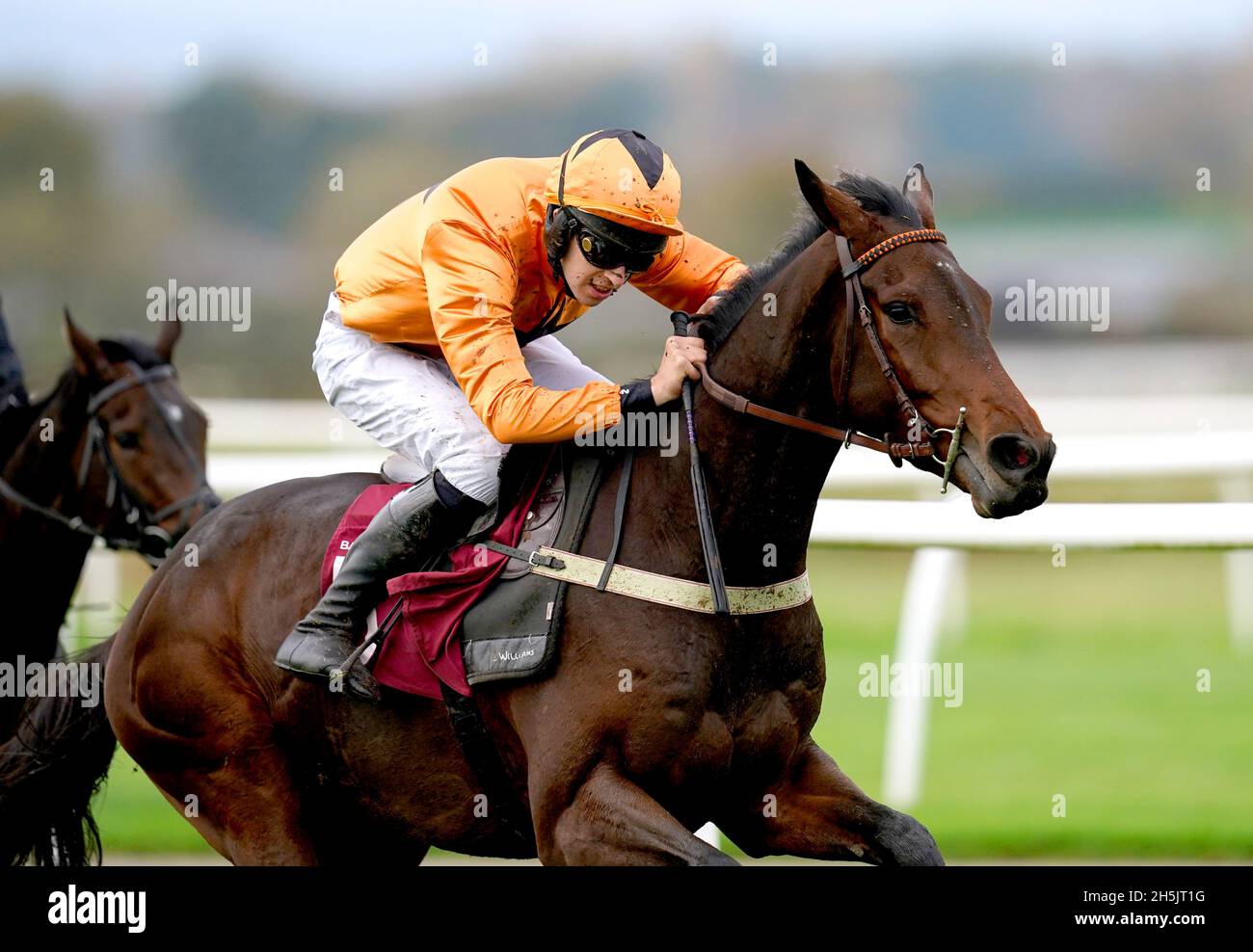 Saint Segal, monté par le jockey Chester Williams sur le chemin de gagner les dix à suivre à l'obstacle tote.co.uk Juvenile Maiden à l'hippodrome de Bangor-on-Dee.Date de la photo: Mercredi 10 novembre 2021. Banque D'Images