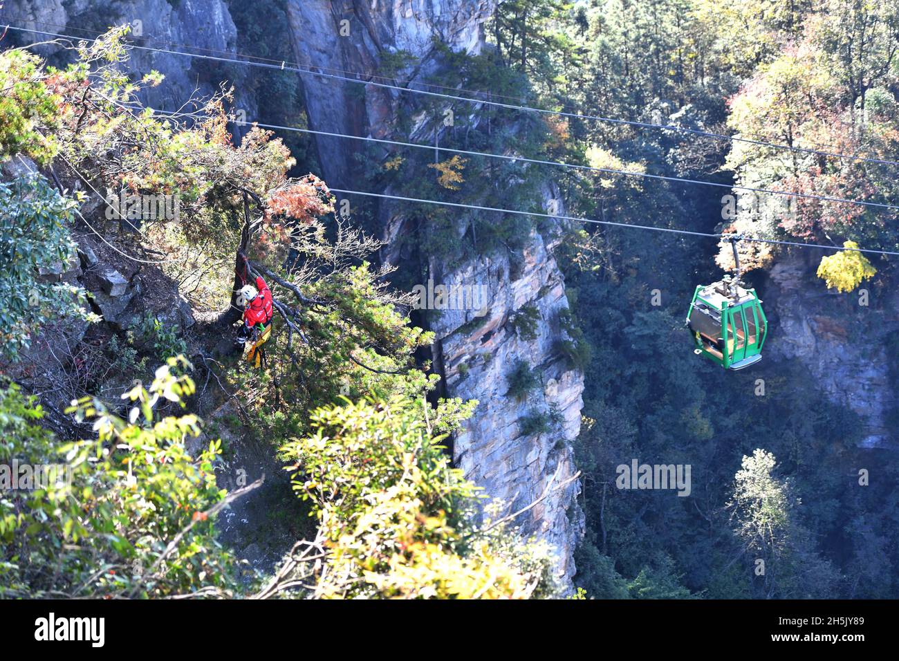 ZHANGJIAJIE, 10 novembre 2021 (Xinhua) -- la photo prise le 10 novembre 2021 montre un membre de l'équipe de secours d'urgence qui fait descendre une falaise pour recueillir des litières lors d'un exercice d'urgence au village de Huangshizhai de Wulinguyuan, Zhangjiajie, dans la province de Hunan, au centre de la Chine.Les membres de cette organisation à but non lucratif collectent régulièrement des litières sur les falaises abruptes de Wulingyuan et de ses environs, site pittoresque inscrit sur la liste du patrimoine naturel mondial de l'UNESCO.(Xinhua/Zhao Zhongzhi) Banque D'Images