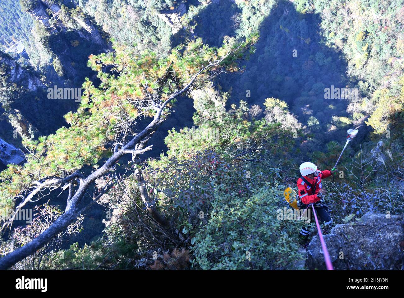 ZHANGJIAJIE, 10 novembre 2021 (Xinhua) -- la photo prise le 10 novembre 2021 montre un membre de l'équipe de secours d'urgence qui fait descendre une falaise pour recueillir des litières lors d'un exercice d'urgence au village de Huangshizhai de Wulinguyuan, Zhangjiajie, dans la province de Hunan, au centre de la Chine.Les membres de cette organisation à but non lucratif collectent régulièrement des litières sur les falaises abruptes de Wulingyuan et de ses environs, site pittoresque inscrit sur la liste du patrimoine naturel mondial de l'UNESCO.(Xinhua/Zhao Zhongzhi) Banque D'Images