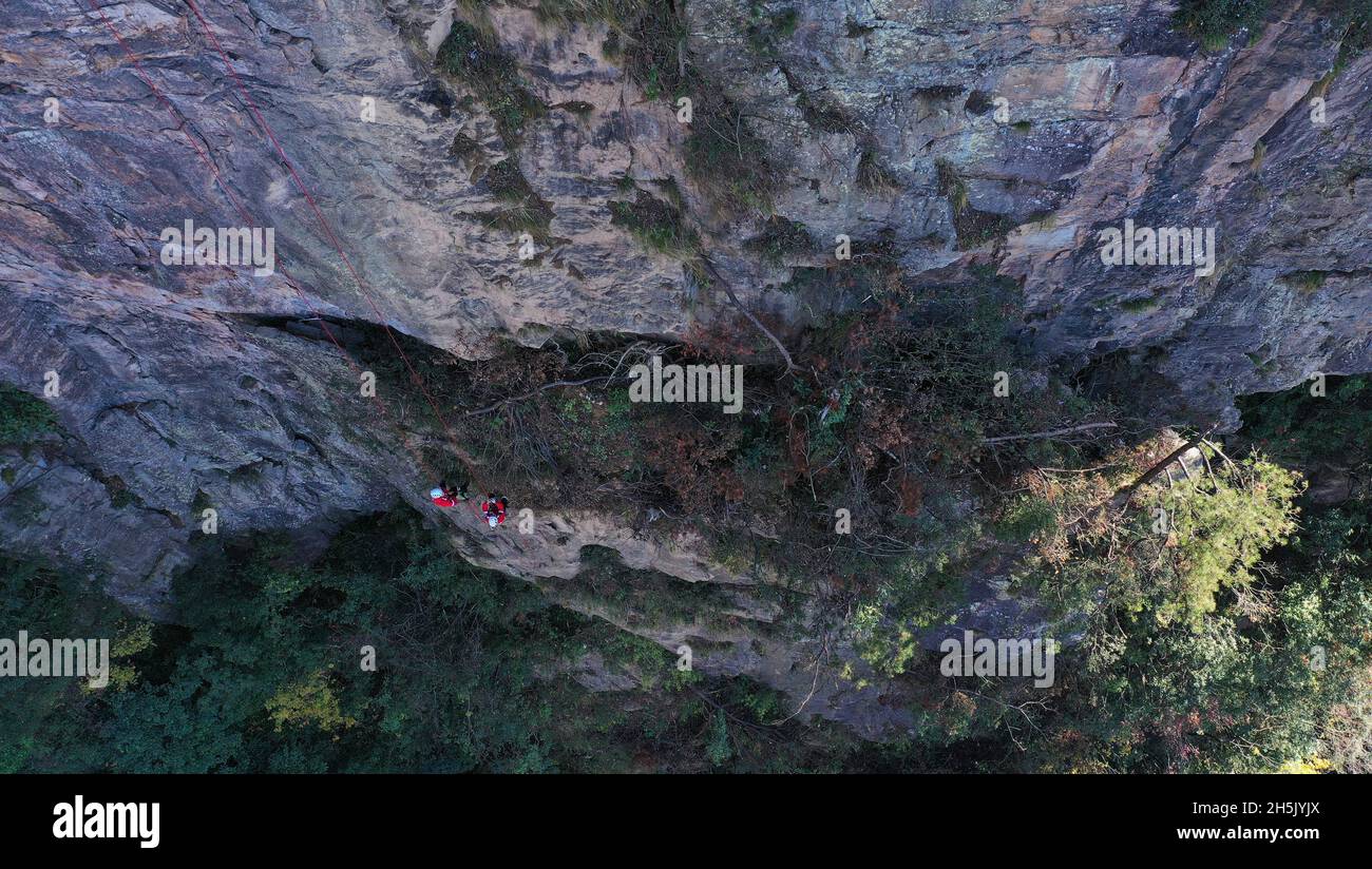 Zhangjiajie.10 novembre 2021.La photo aérienne prise le 10 novembre 2021 montre que des membres d'une équipe de secours d'urgence ont fait une descente dans une falaise pour ramasser des portées lors d'un exercice d'urgence au village Huangshizhai de Wulingyuan, Zjihangajie, dans la province du Hunan, au centre de la Chine.Les membres de cette organisation à but non lucratif collectent régulièrement des litières sur les falaises abruptes de Wulingyuan et de ses environs, site pittoresque inscrit sur la liste du patrimoine naturel mondial de l'UNESCO.Credit: Zhao Zhongzhi/Xinhua/Alamy Live News Banque D'Images