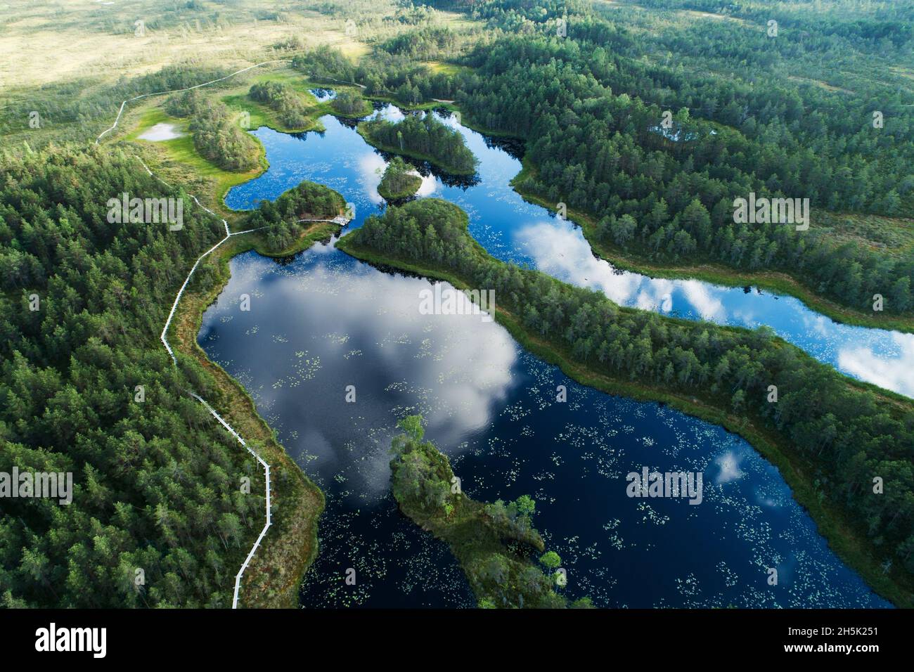 Une antenne d'un lac de tourbière estivale avec réflexion de nuages lors d'une soirée calme à Mukri, Estonie. Banque D'Images