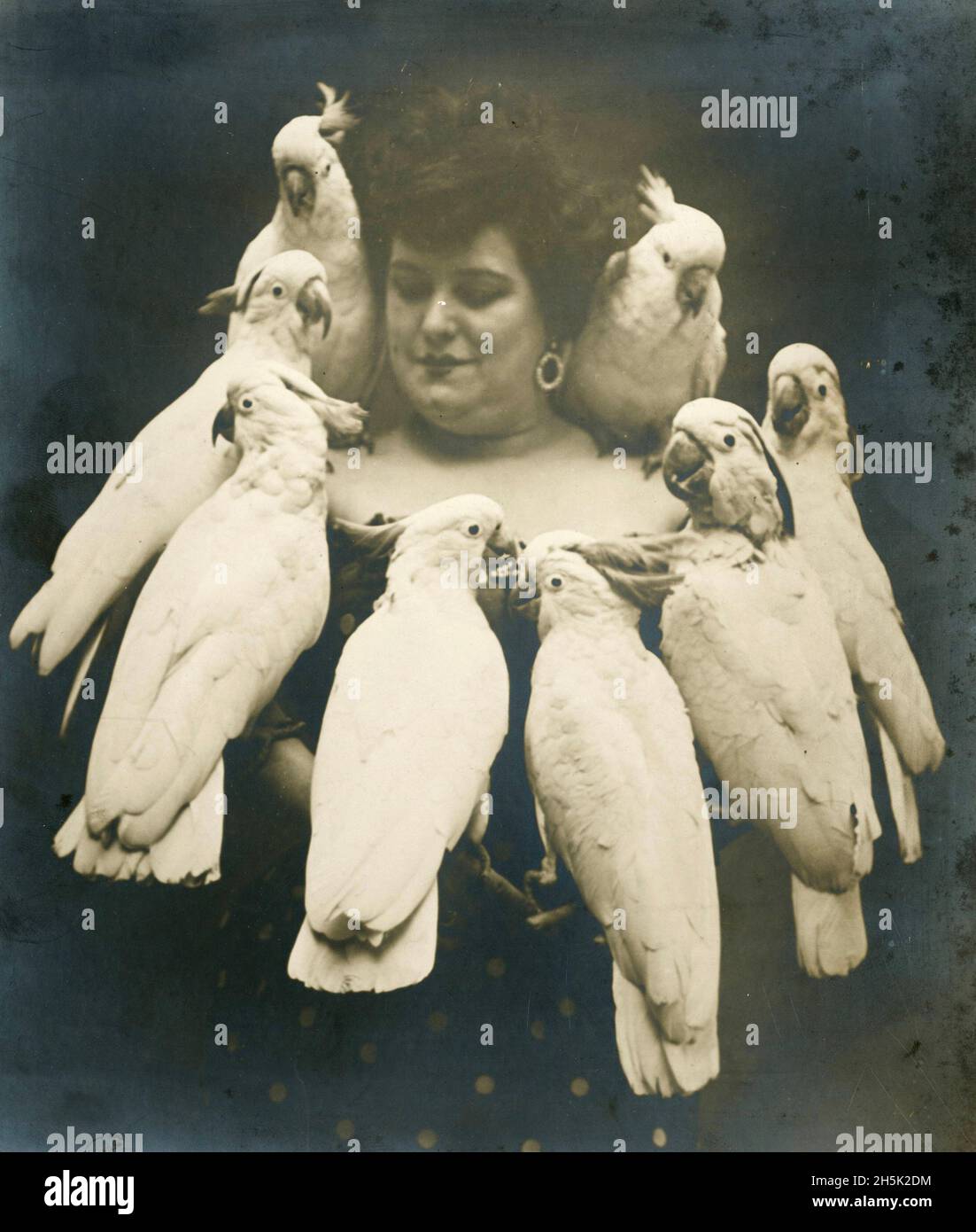 Rosa Naynon posant avec huit de ses cafards entraînés.Rosa et ses oiseaux se sont produit dans un acte de vaudeville au Coliseum, à Seattle, en octobre 1907. Banque D'Images