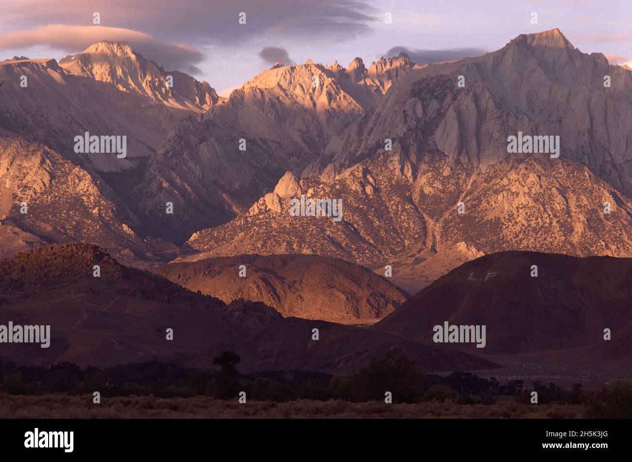 Lone Pine en Californie, USA Banque D'Images