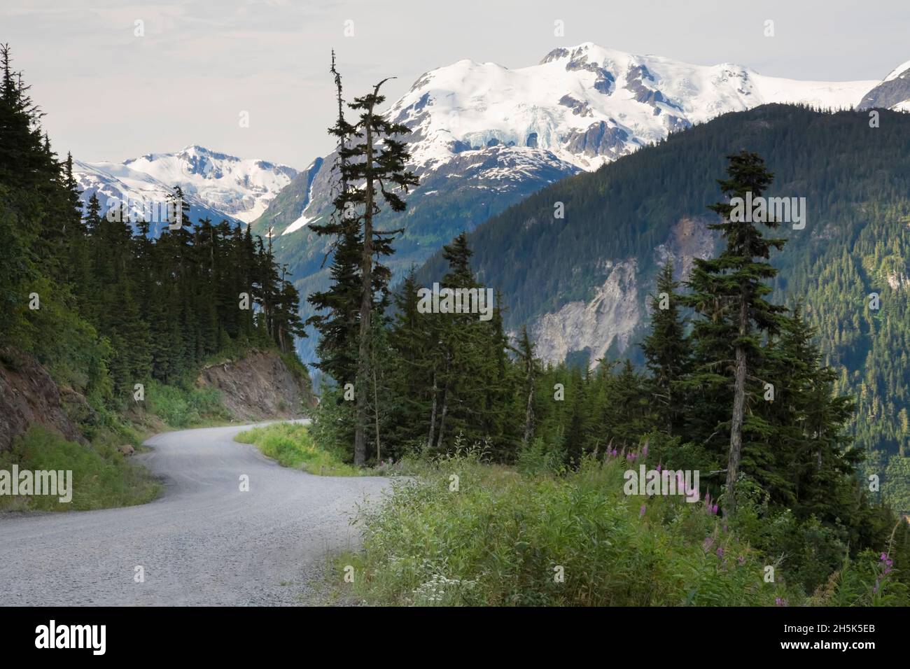 Coast Mountains, British Columbia, Canada Banque D'Images