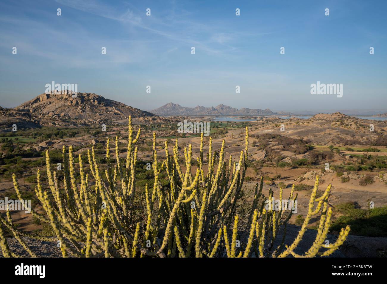 Le paysage entourant un lac de barrage et le désert avec des plantes désertiques et les collines d'Aravali dans la plaine de Pali du Rajasthan; Rajasthan, Inde Banque D'Images