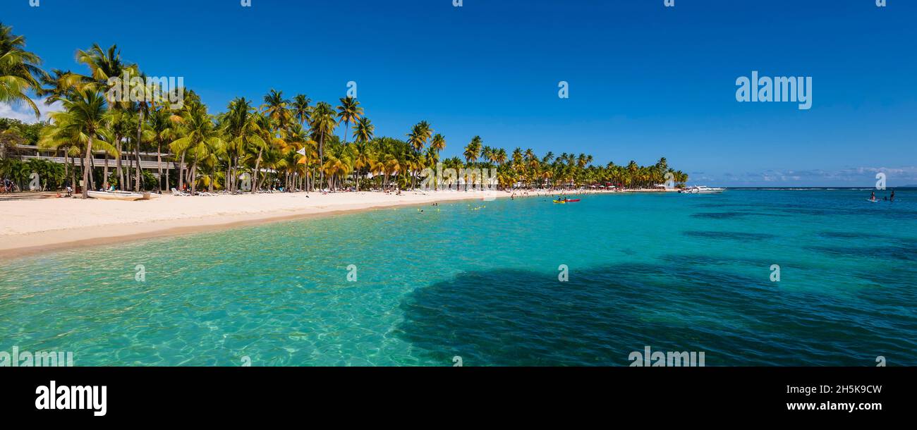 Les gens qui apprécient les eaux turquoise de la mer des Caraïbes avec des palmiers le long de la rive sablonneuse de la plage de Caravelle, Sainte-Anne, Grande-Terre Banque D'Images