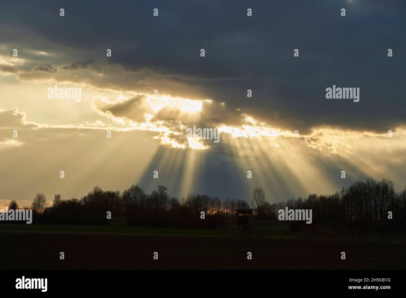 Rayons de soleil traversant des nuages sombres avec des arbres silhouettés; Bavière, Allemagne Banque D'Images