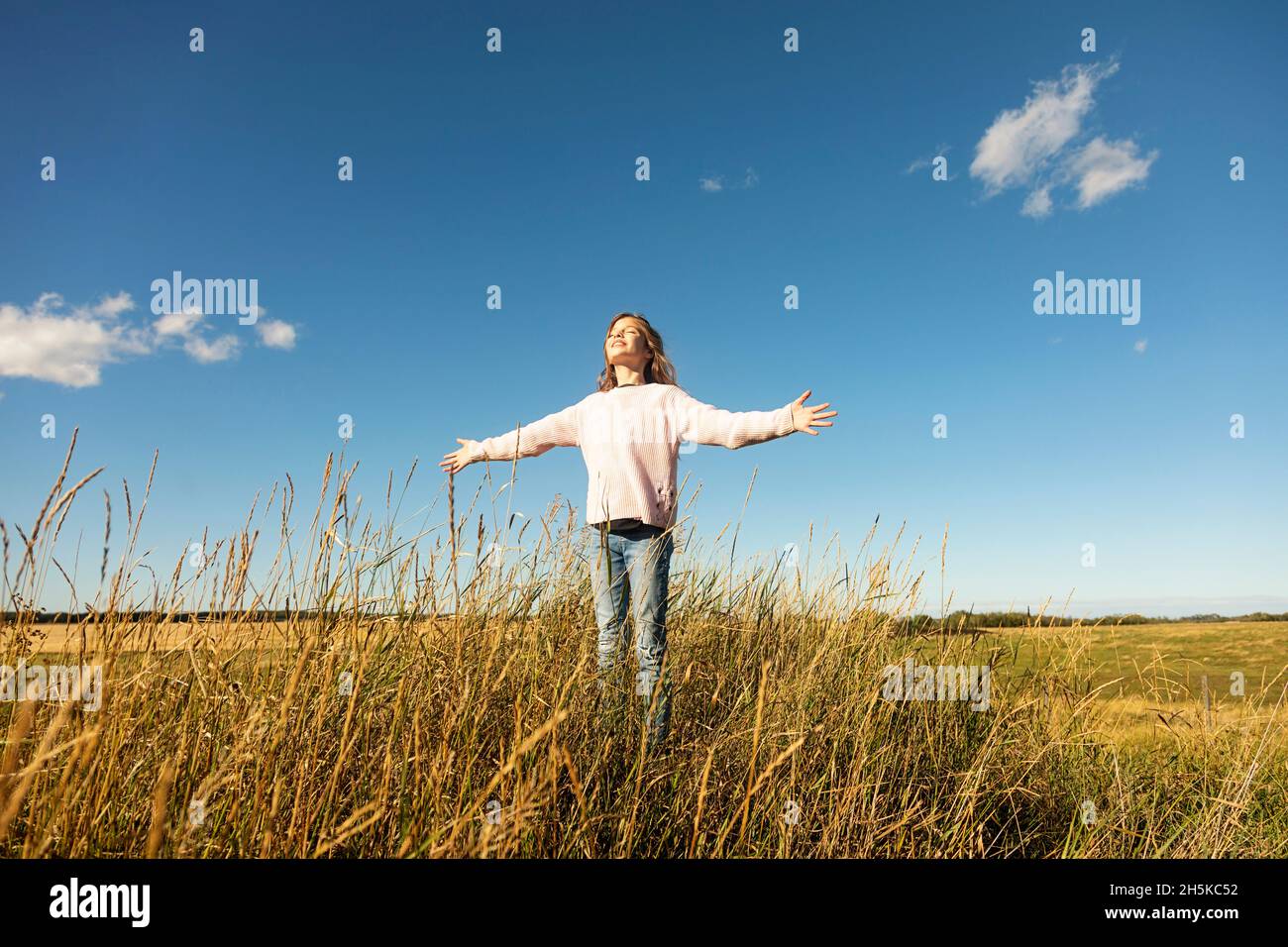 Jeune fille debout dans un champ de ferme avec ses bras dépassant et regardant à la lumière du soleil chaude; Alcomdale, Alberta, Canada Banque D'Images