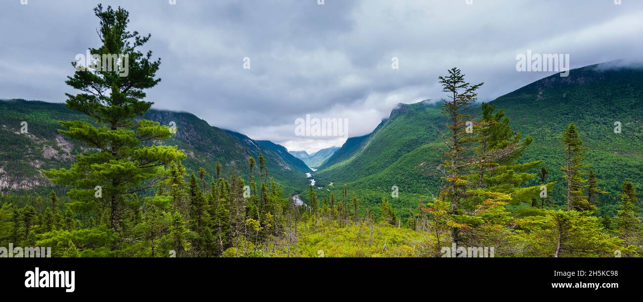 Vaste paysage montagneux du parc national des Hautes‑Gorges-de-la-Rivière‑Malbaie; Québec, Canada Banque D'Images