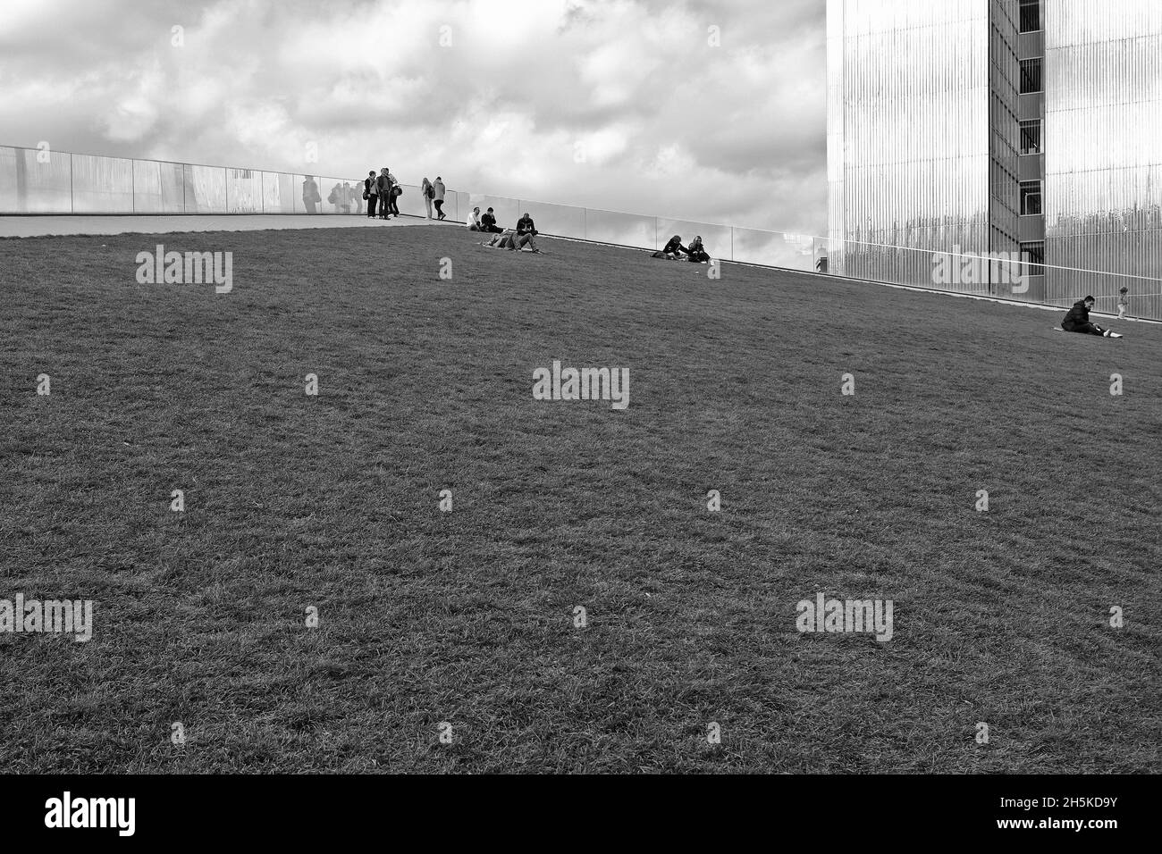 Le toit vert du parc de l'hôtel "-de-la-Nord" dans le centre de Düsseldorf.Une pelouse triangulaire accessible à pied avec vue sur le Dreischeibenhaus. Banque D'Images