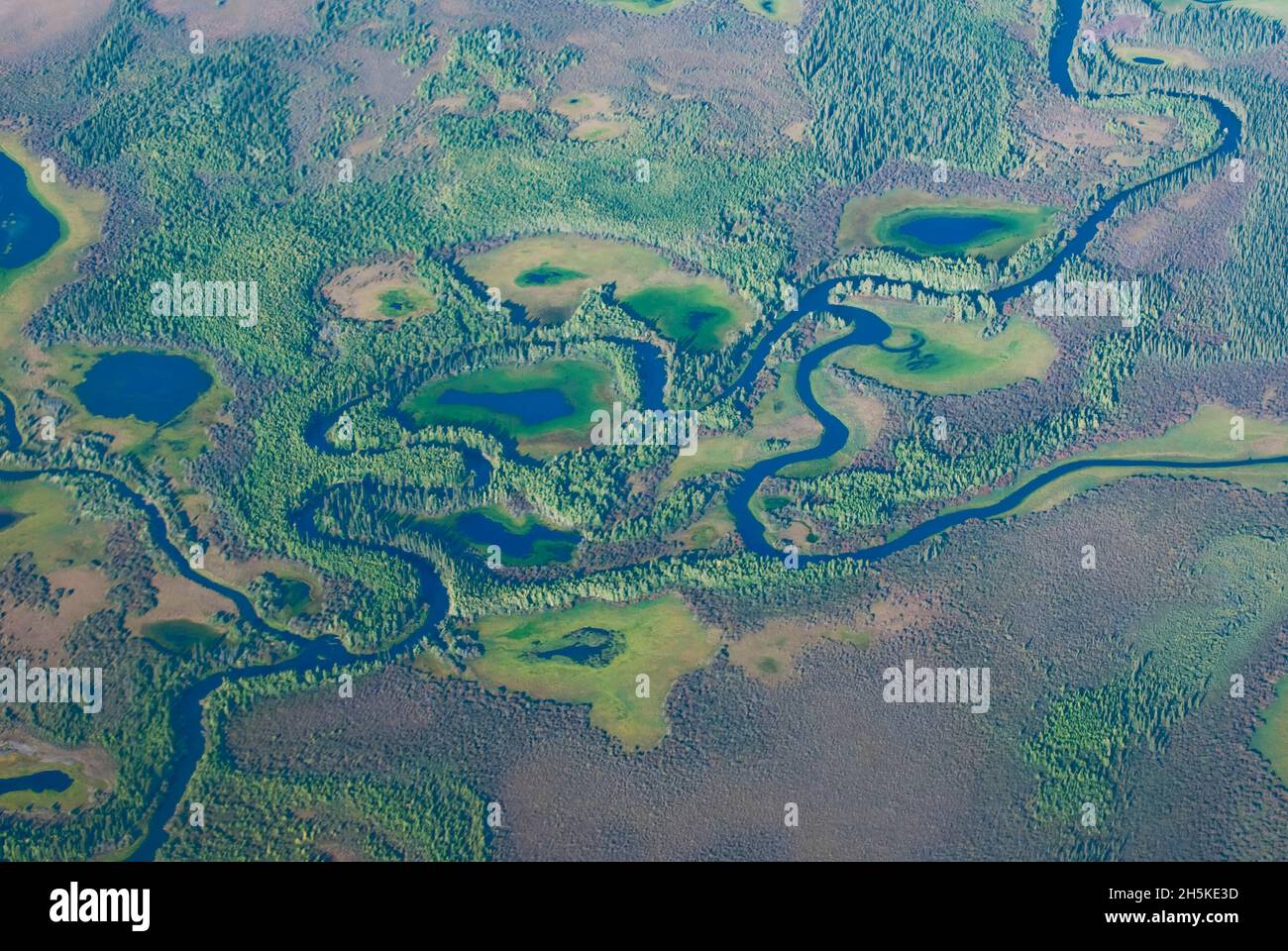 Vue aérienne des rivières, des ruisseaux et des forêts vertes environnantes sur la toundra de la réserve naturelle nationale de l'Arctique Banque D'Images