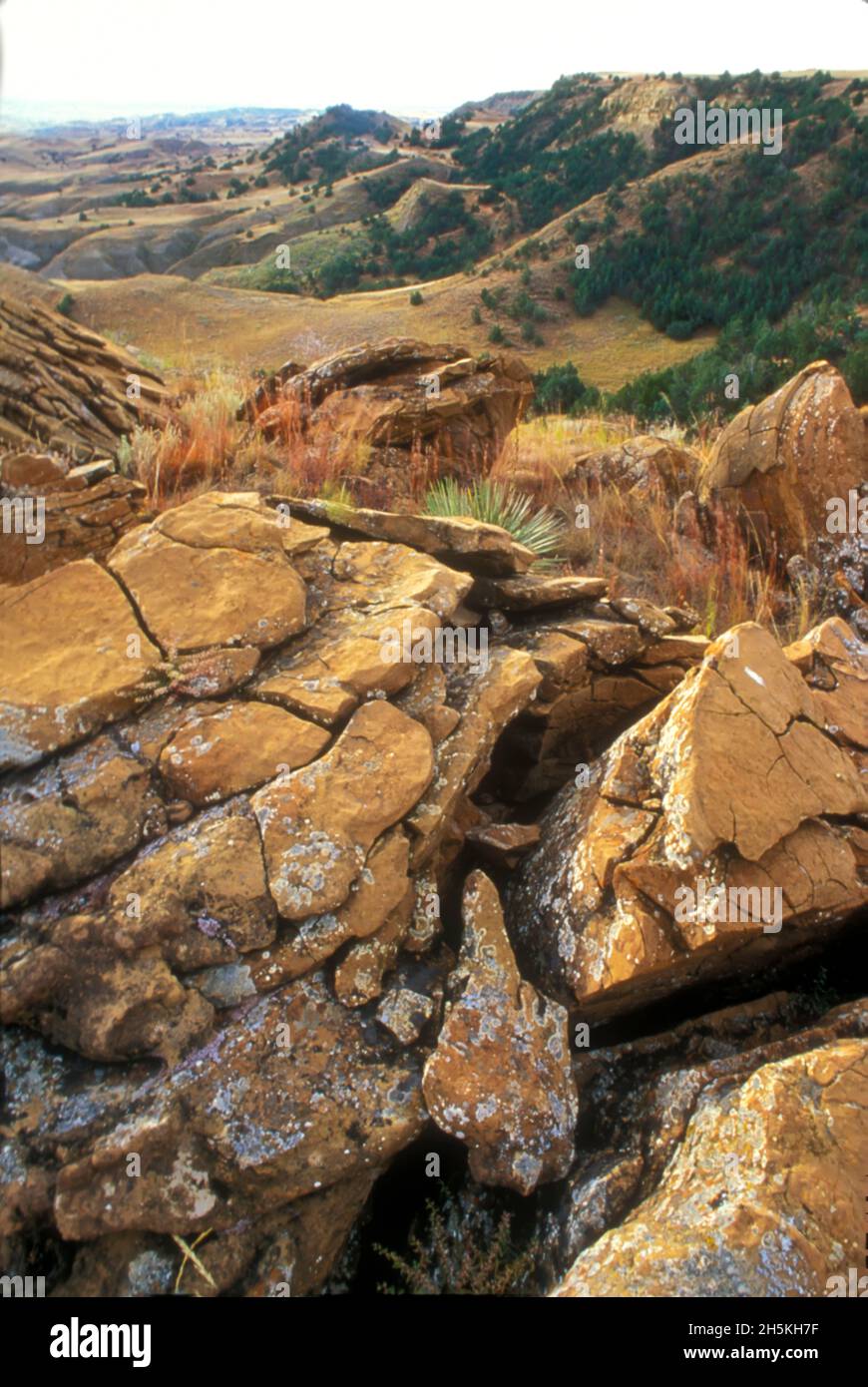 Le terrain rocheux de la rivière Cheyenne se brise avec les collines couvertes de genévriers (Juniperus) au ranch Murphy dans le comté de Meade Banque D'Images