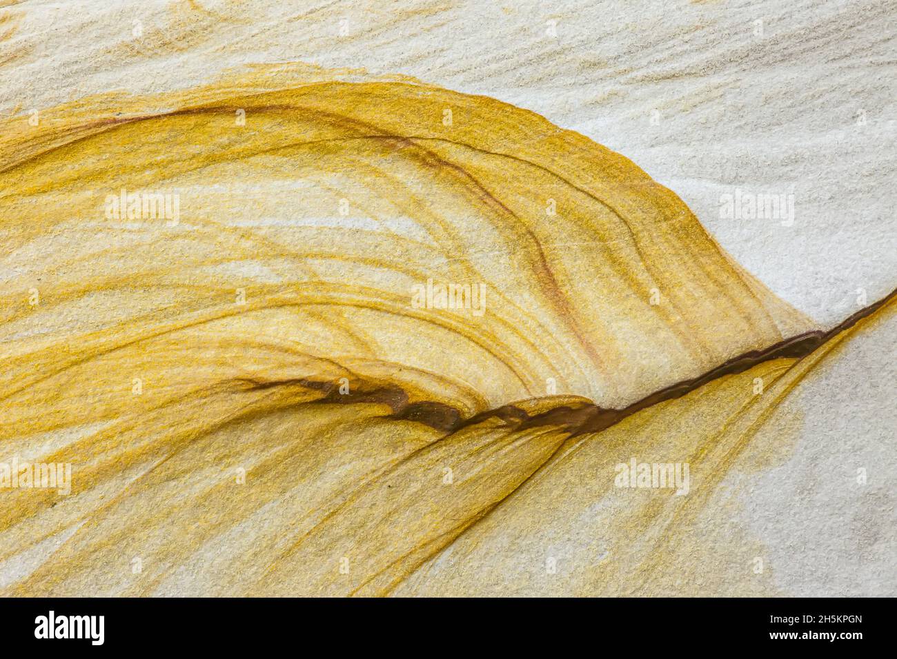 Close up de formations de grès. Banque D'Images