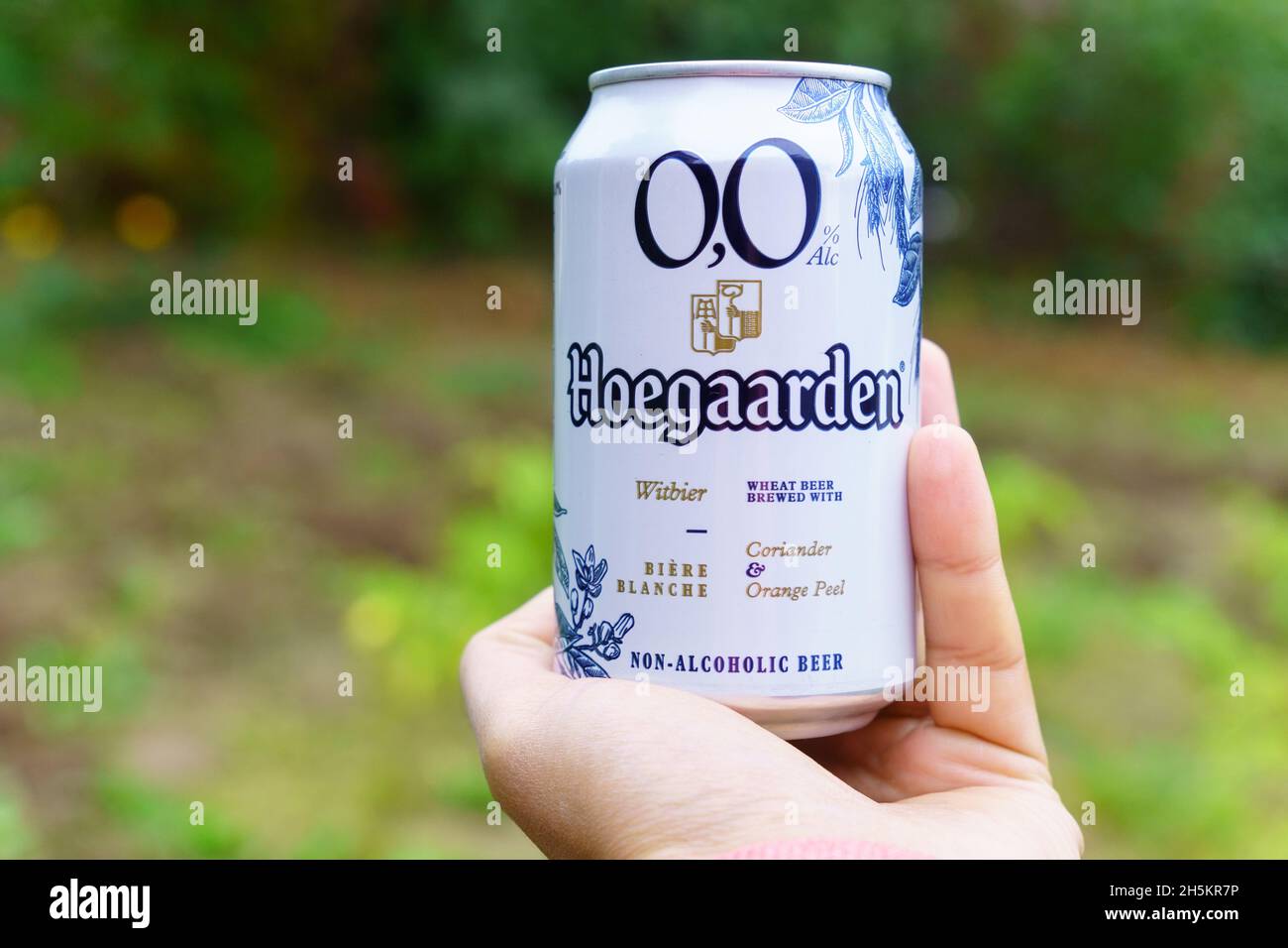 Volzhsky, Russie-25 septembre 2021 : bière non alcoolisée Hoegaarden CAN.Mise au point sélective Banque D'Images