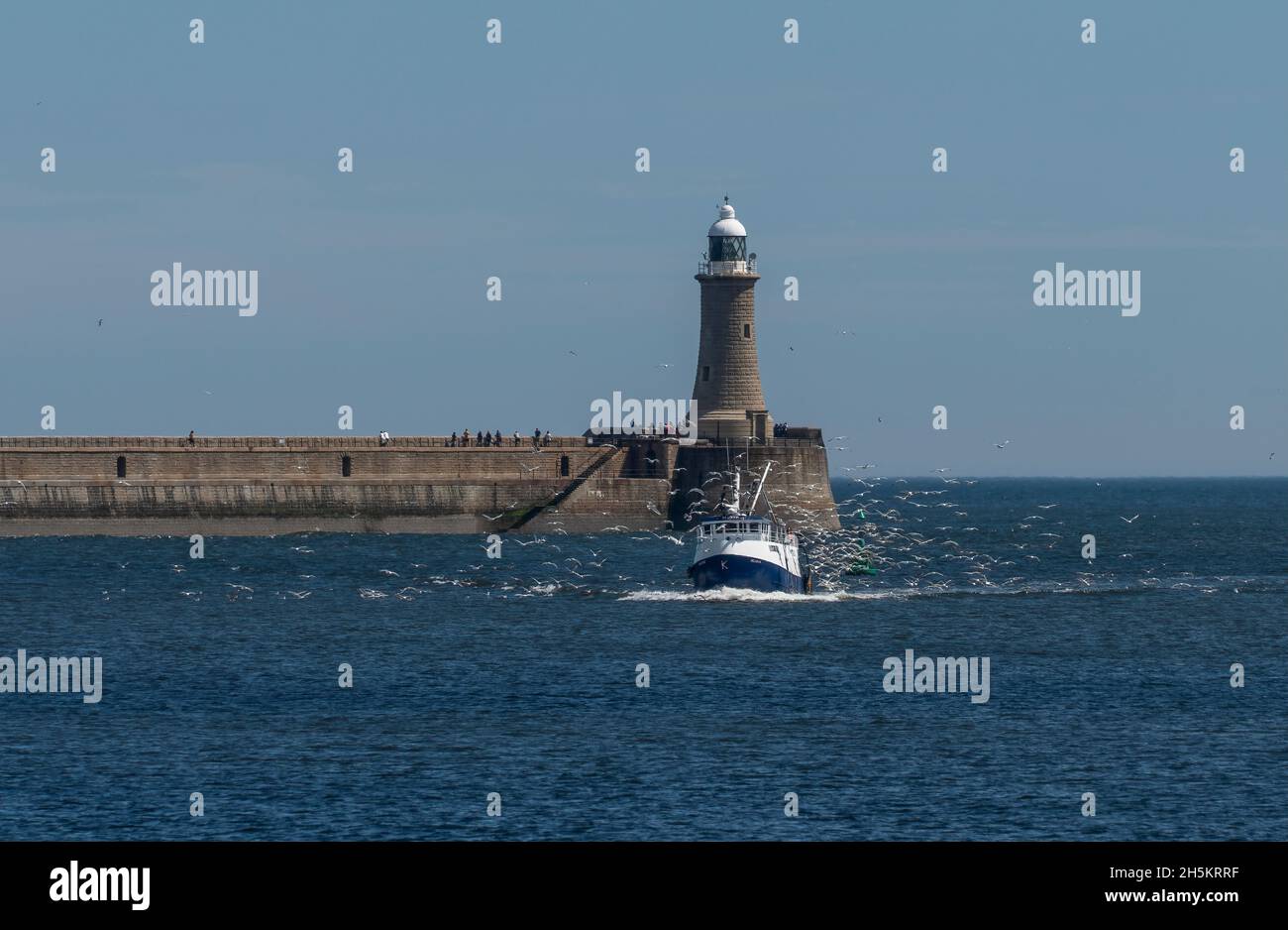 Phare de Fish Quay avec mouettes entourant un bateau de pêche ; South Shields, Tyne et Wear, Angleterre Banque D'Images