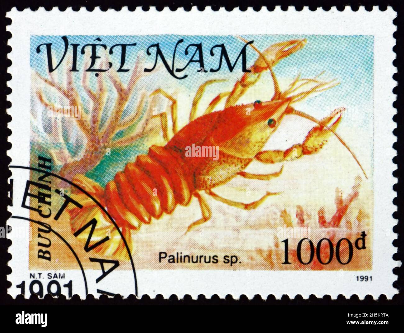 VIETNAM - VERS 1991: Un timbre imprimé au Vietnam montre palinurus, coquillages, vers 1991 Banque D'Images