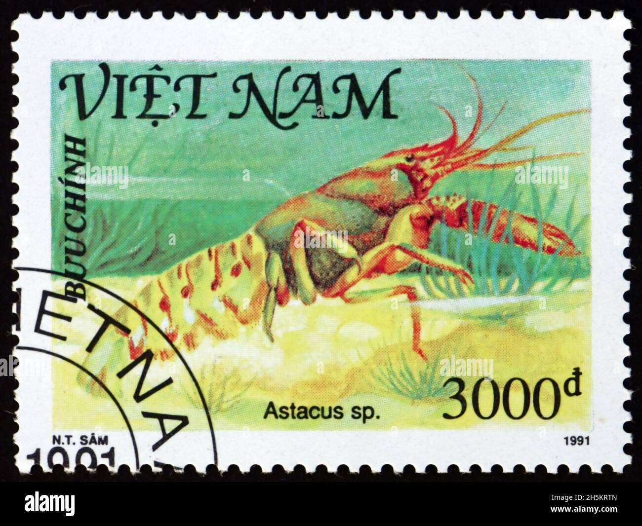 VIETNAM - VERS 1991: Un timbre imprimé au Vietnam montre astacus, coquillages, vers 1991 Banque D'Images