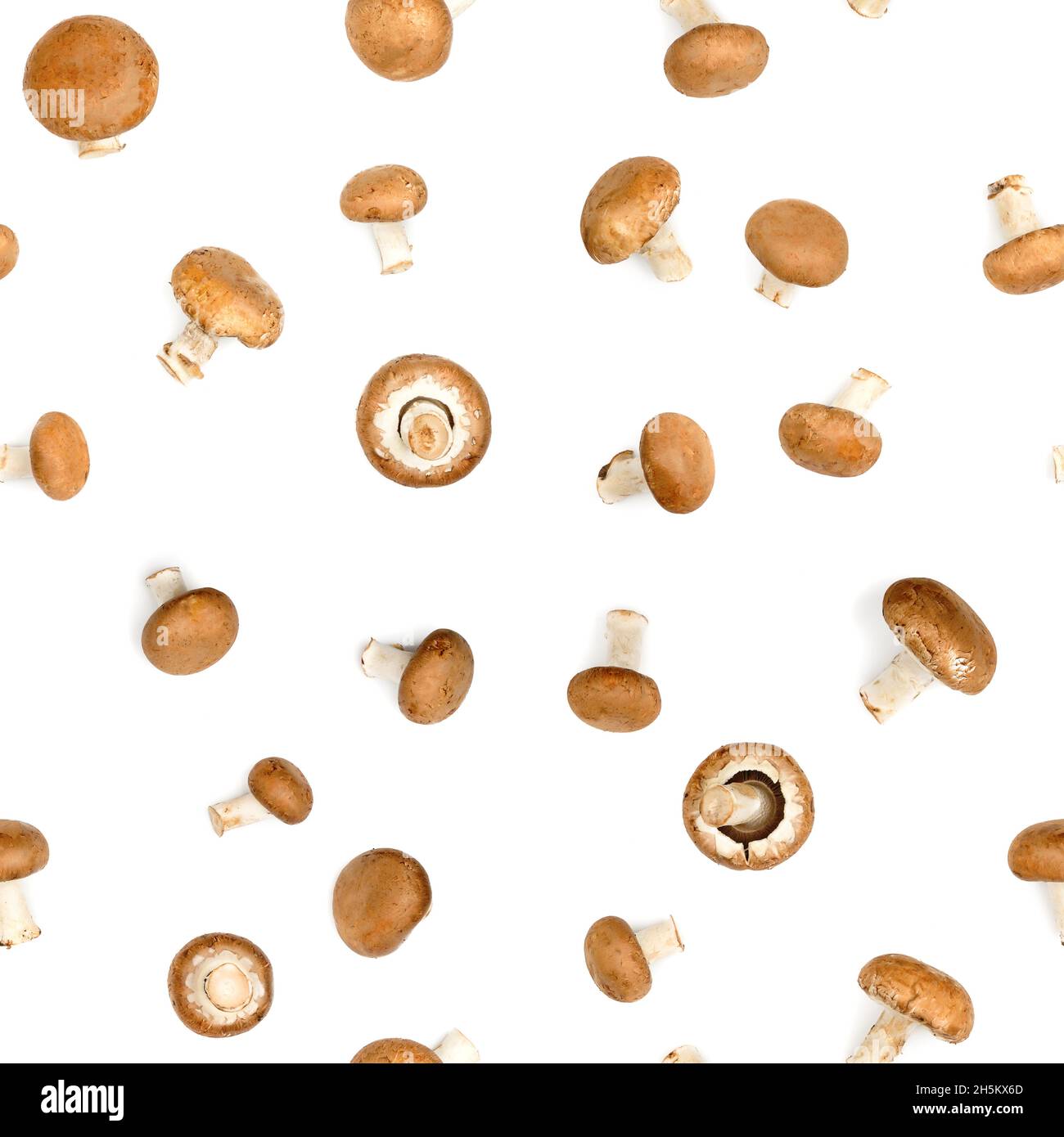 Motif sans couture de champignons comestibles avec différents angles isolés sur fond blanc Banque D'Images