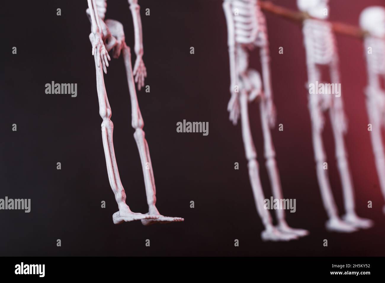 OS de squelettes suspendus sur une corde sur fond sombre.Décoration d'Halloween, gros plan Banque D'Images