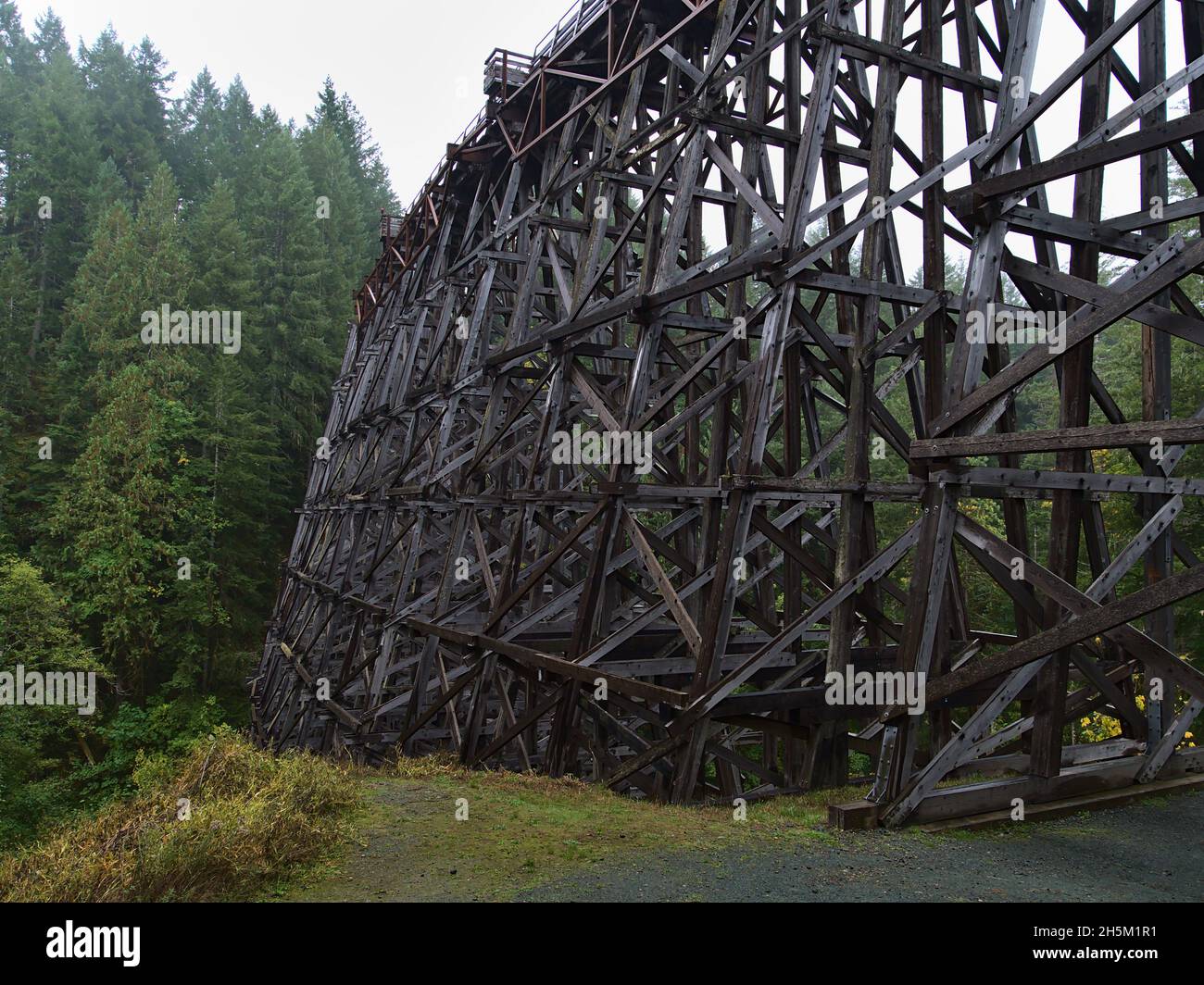 Vue de l'impressionnant pont de chemin de fer restauré Kinsol Trestle en bois sur l'île de Vancouver, Colombie-Britannique, Canada traversant la rivière Koksilah. Banque D'Images