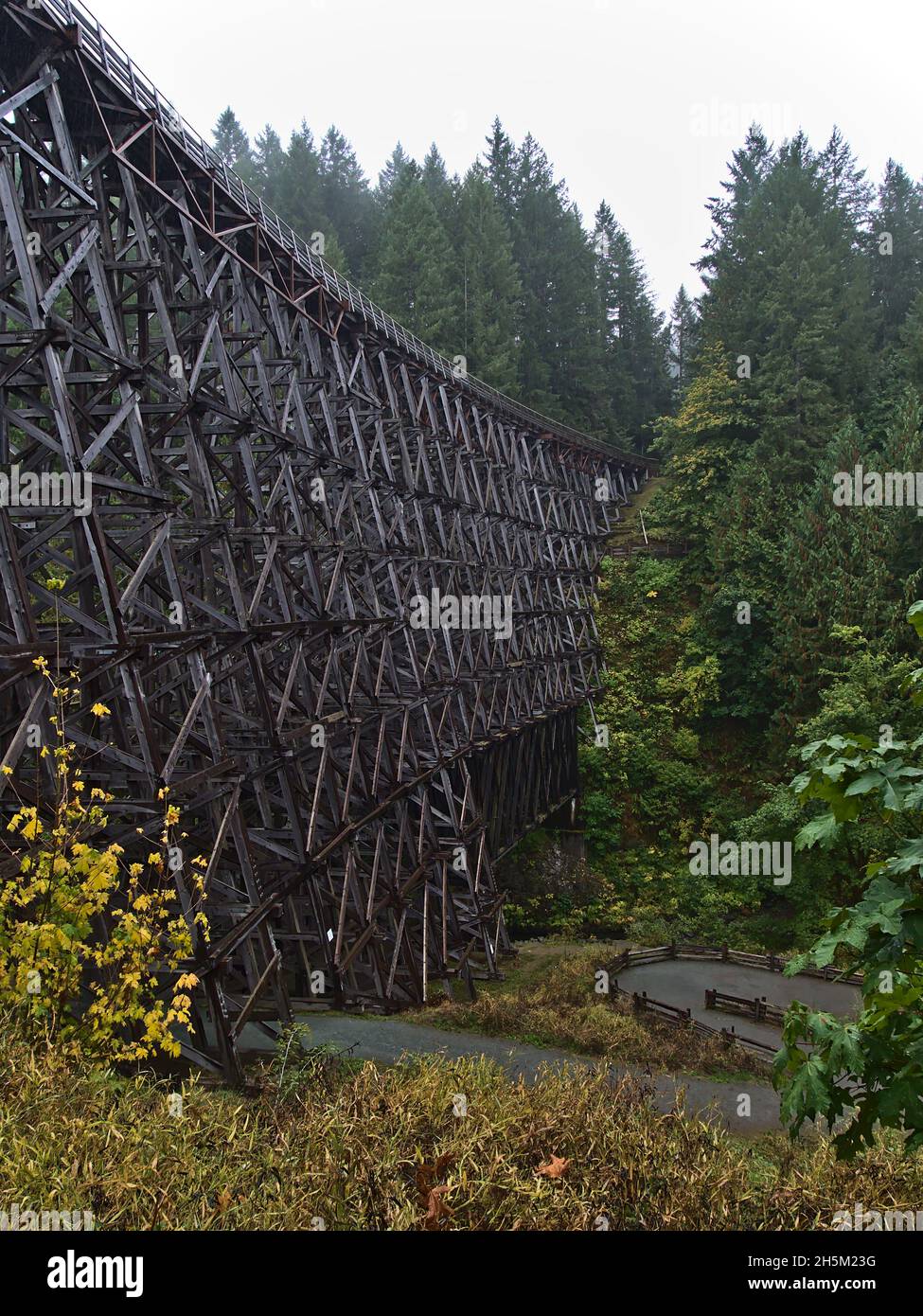 Magnifique paysage avec vue portrait du pont ferroviaire historique en bois Kinsol Trestle situé sur l'île de Vancouver, Colombie-Britannique, Canada. Banque D'Images