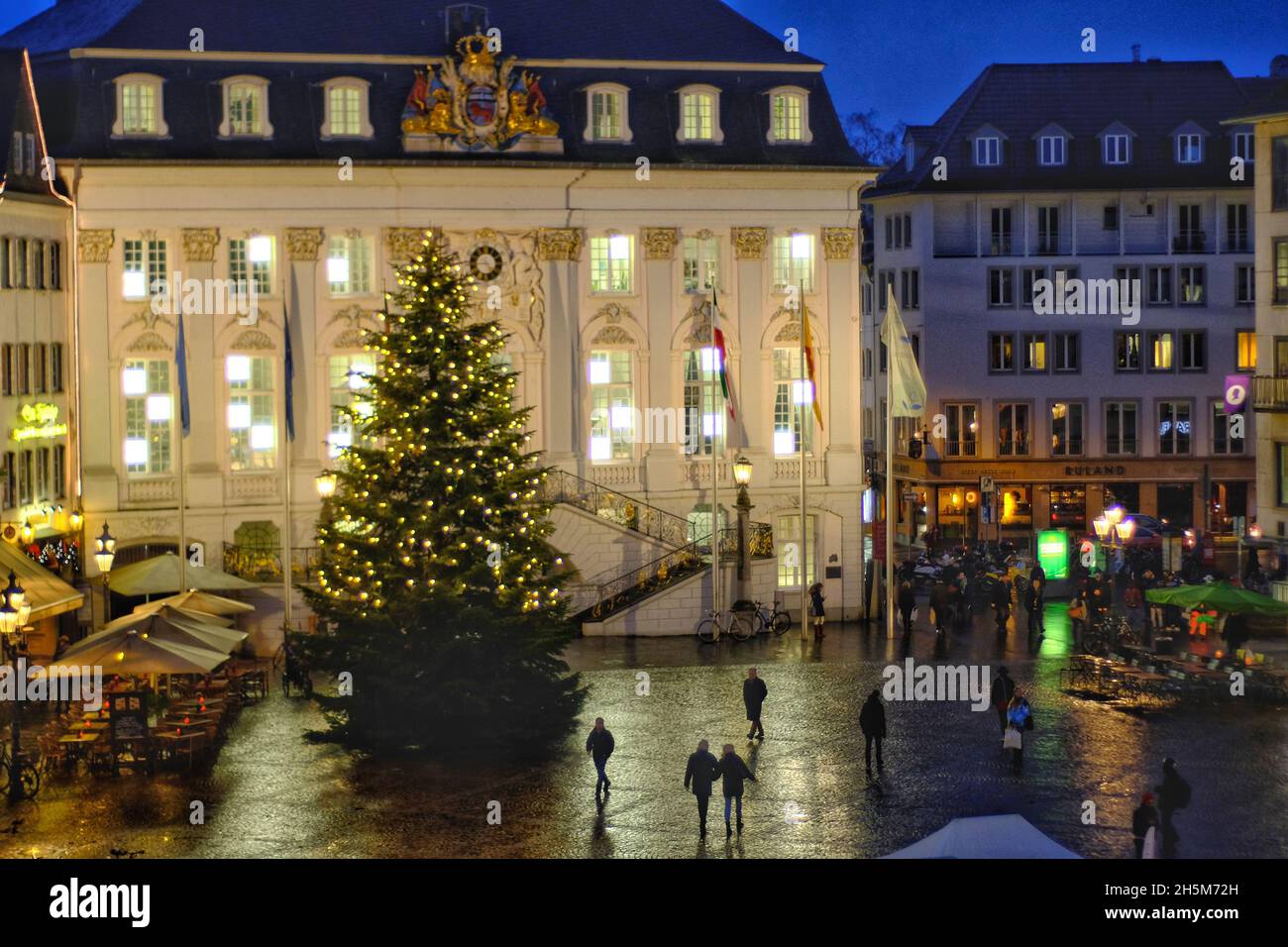 Bonn, Allemagne - 21 décembre 2017 : vue panoramique de l'hôtel de ville, d'un énorme arbre de Noël et de la place principale dans le centre de Bonn la nuit Banque D'Images