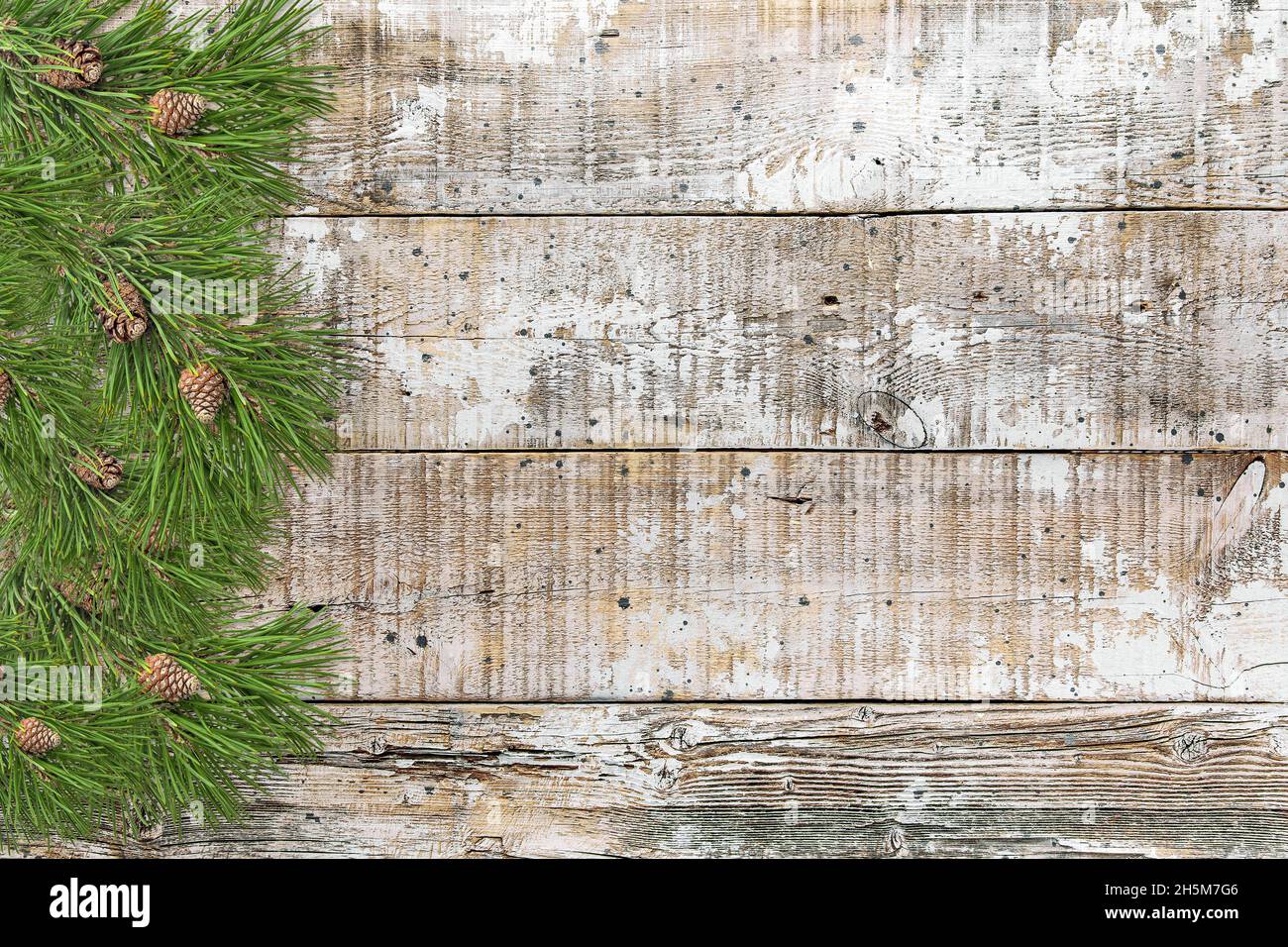 Arrière-plan rustique en bois avec bordure de branches d'arbre de Noël Banque D'Images