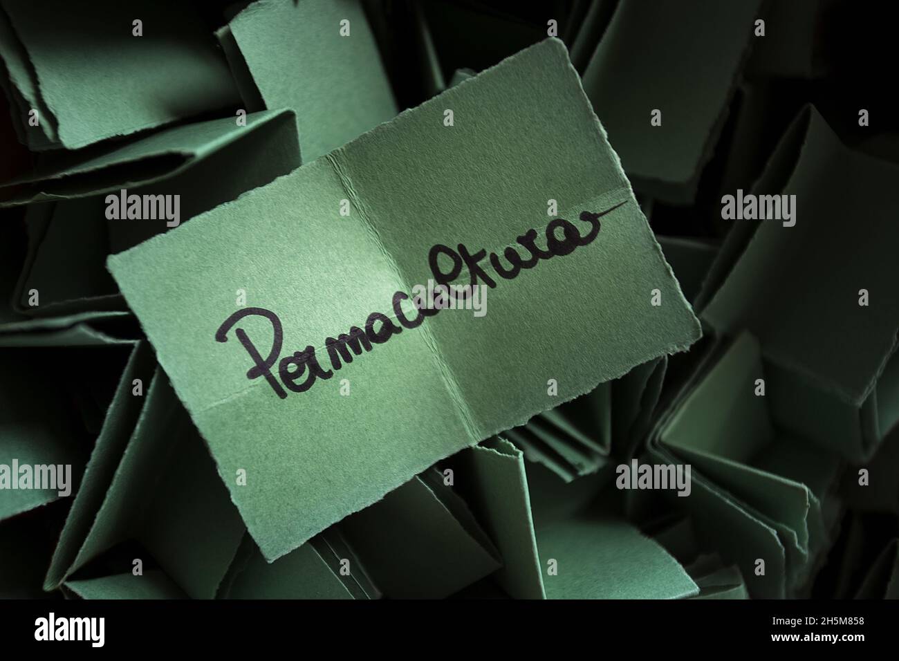 Gros plan de cartes vertes avec l'inscription « Permaculture » - concept de vie durable Banque D'Images