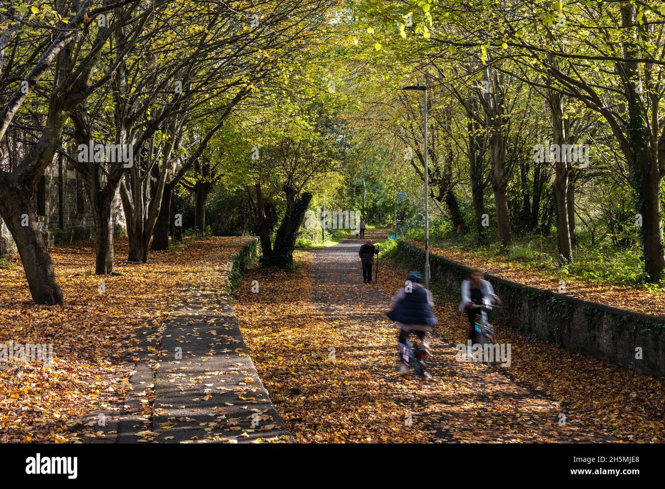 Les cyclistes déferleront les feuilles et les arbres qui arborent des couleurs automnales à la gare de Mangotsfield, sur le chemin de fer de Bristol et Bath, qui fait partie du Royaume-Uni Nati Banque D'Images