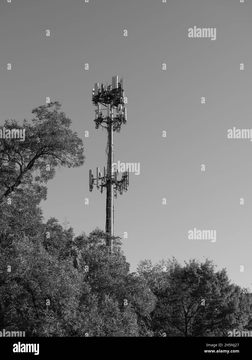 Une tour cellulaire se tient au-dessus des arbres dans un parc municipal à côté de la base de réserve interarmées de la base aérienne navale de fort Worth, Texas. Banque D'Images