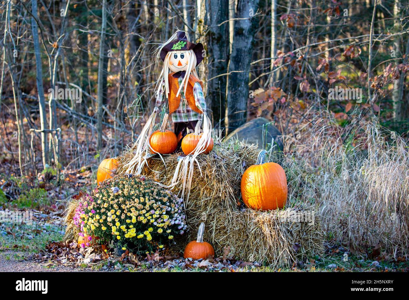 Exposition des fêtes d'Halloween comprenant des mamans, des citrouilles, des balles de foin et des corneilles effrayantes dans le Wisconsin, à l'horizontale Banque D'Images