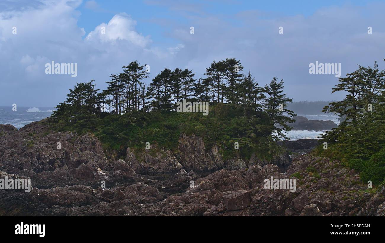 Arbres verts qui poussent sur des roches accidentées de la côte, vus du sentier du Pacifique sauvage à Ucluelet, sur l'île de Vancouver, en Colombie-Britannique, au Canada. Banque D'Images