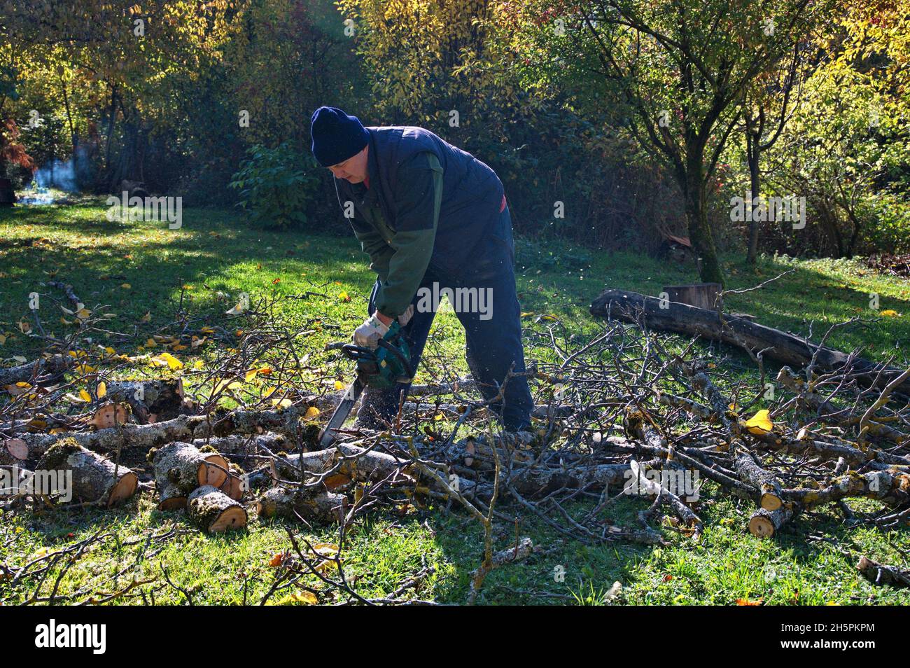 Arborier homme coupant des branches avec une tronçonneuse Banque D'Images