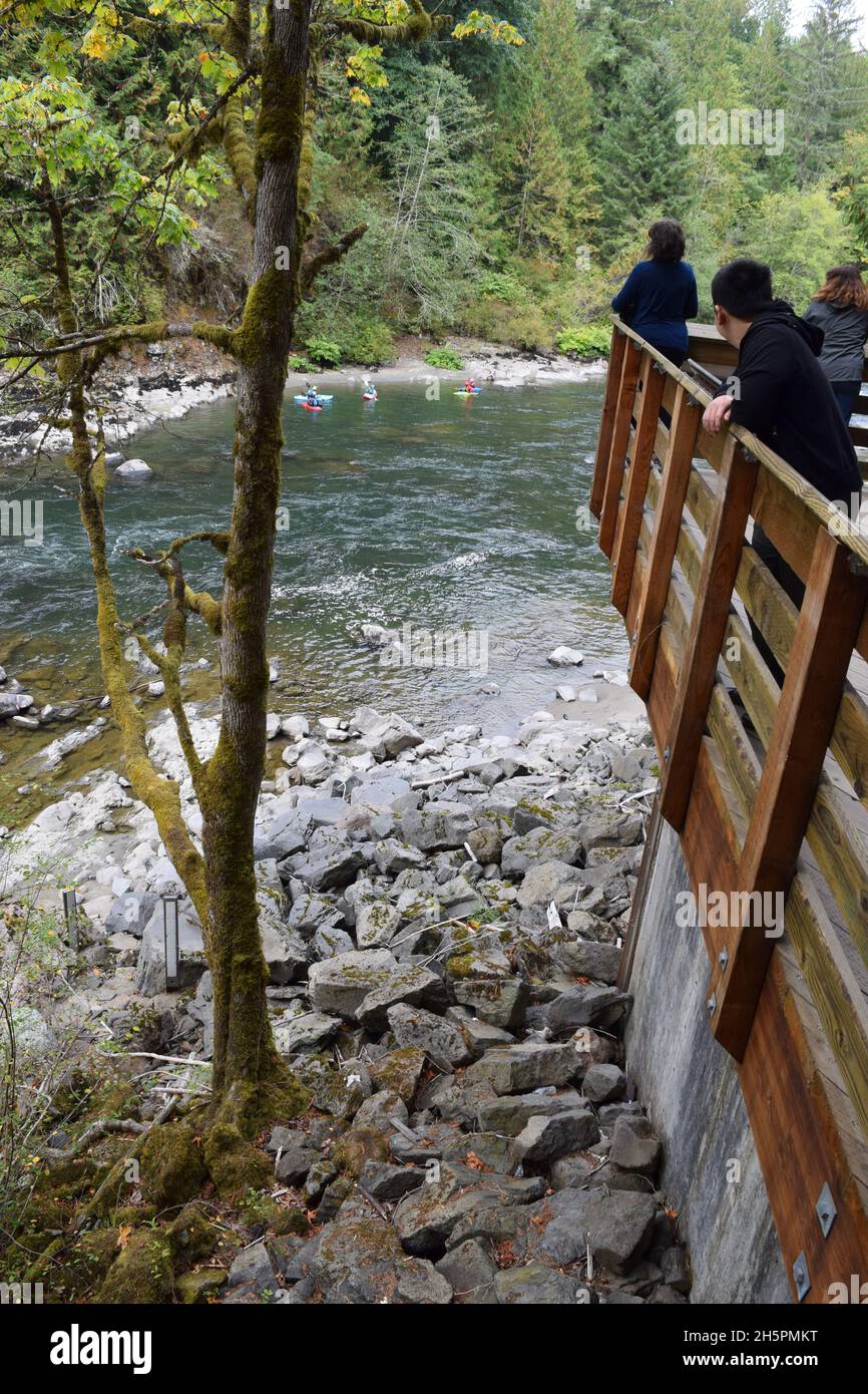 Des spectateurs observant des kayakistes dans la rivière Snoqualmie. Banque D'Images