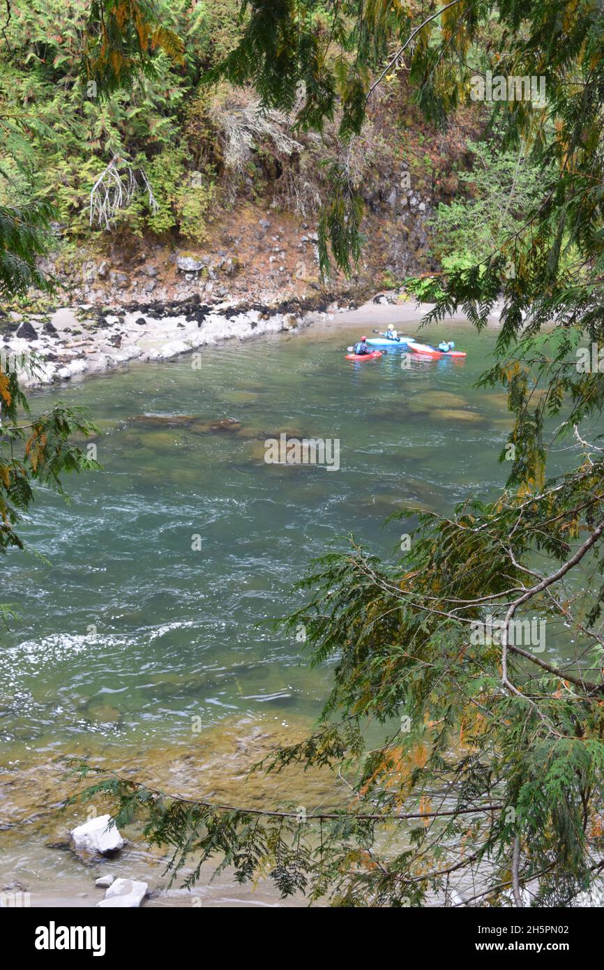 Kayakistes dans la rivière Snoqualmie. Banque D'Images